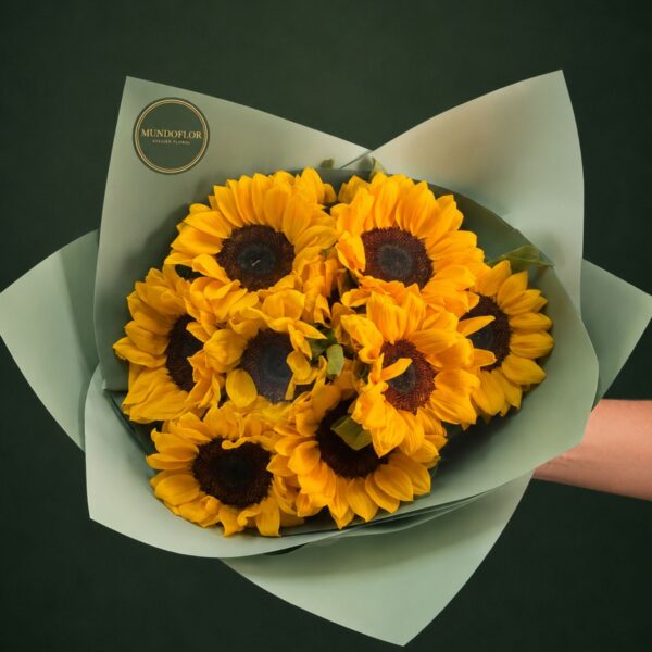 Girasoles