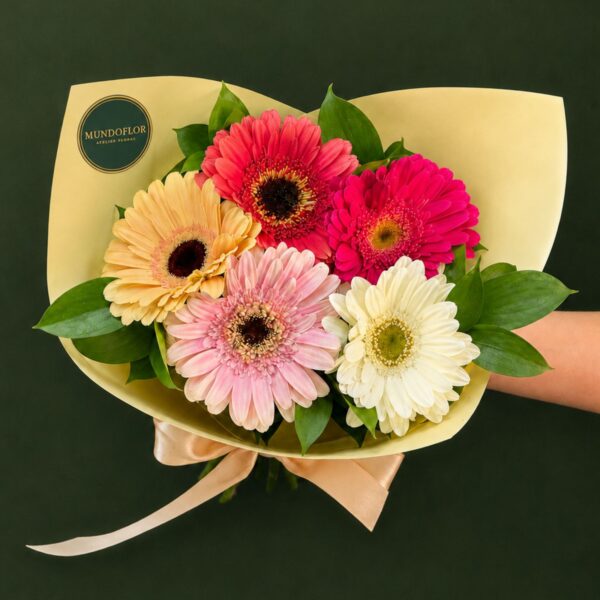 Ramo de Gerberas con ruscus 5 varas