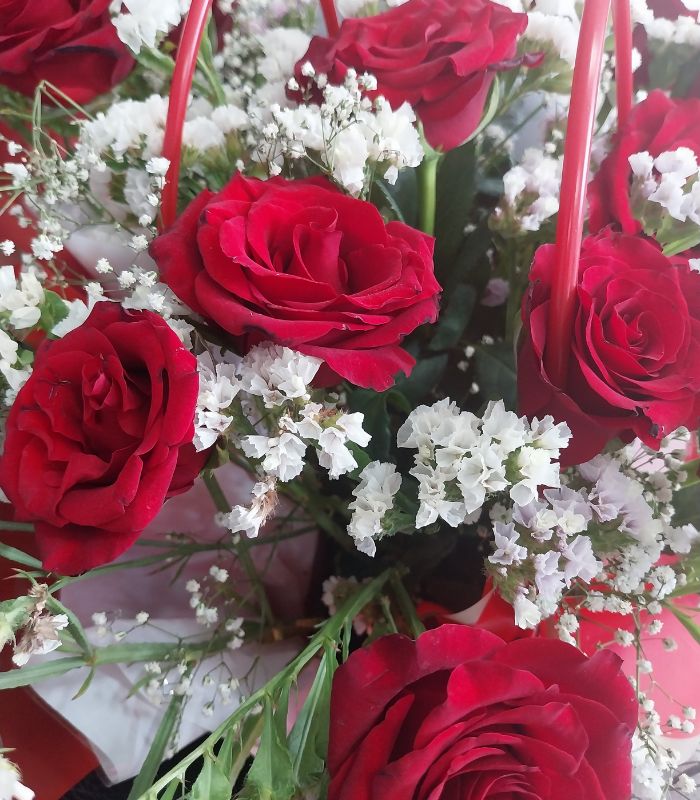 Flores Rojas Macul a Domicilio en Santiago