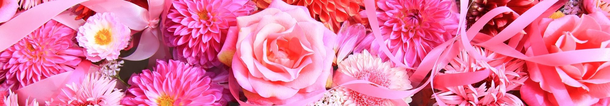 Rosas Colores Cerrillos a Domicilio en Santiago