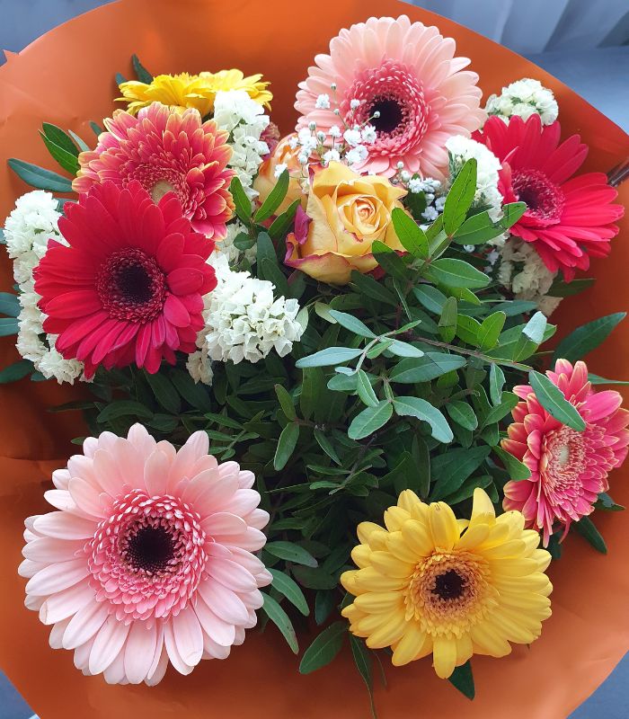 Gerberas Macul a Domicilio en Santiago