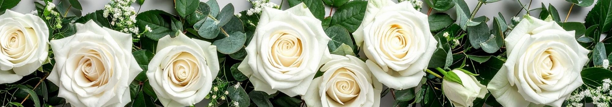 Rosas Blancas La Cisterna a Domicilio en Santiago